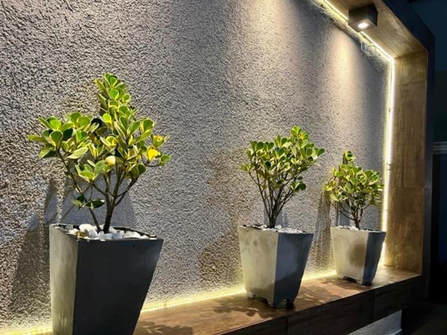 Marmeu Tropical Διαμέρισμα Γκουαρούχα Εξωτερικό φωτογραφία